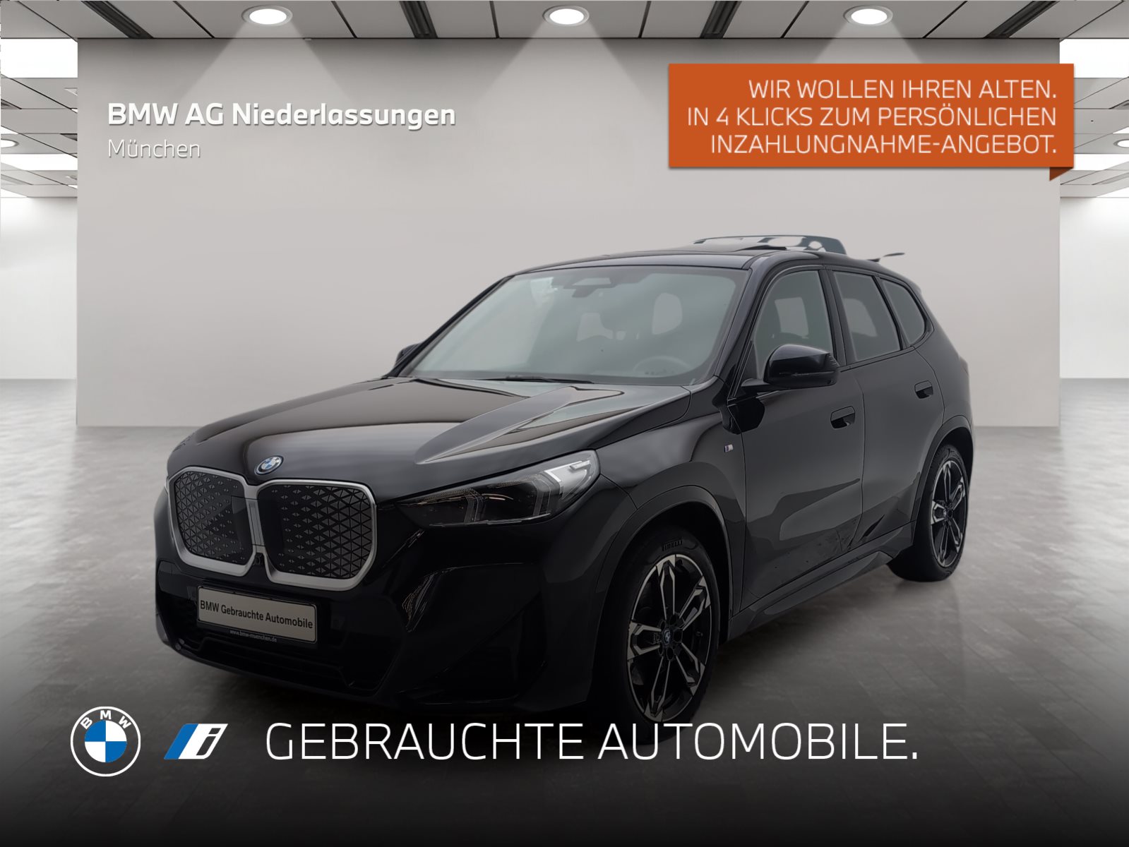 BMW iX1 xDrive30 M Sport Driv.Assist.Prof Harman/K M Sport Driv.Assist.Prof Harman/K