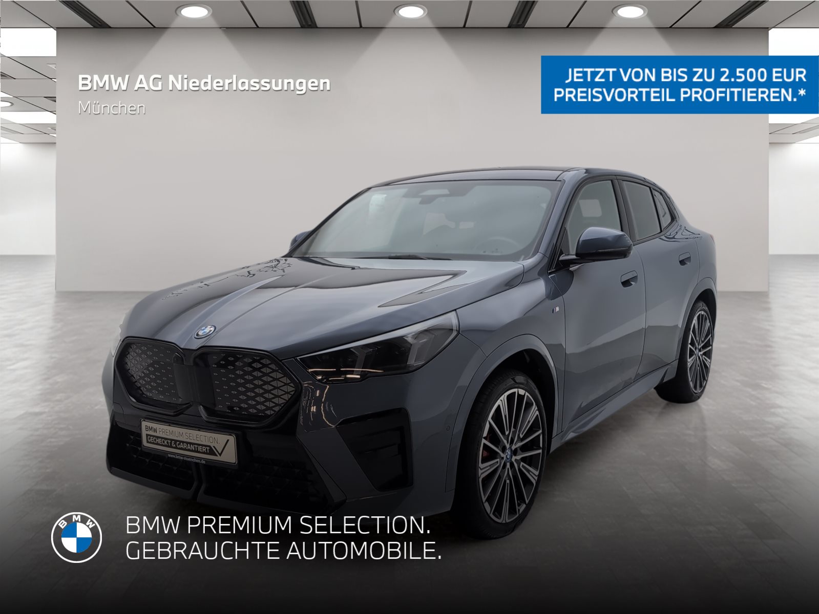 BMW iX2 xDrive30 M Sport AHK Driv.Assist.Prof LED M Sport AHK Driv.Assist.Prof LED